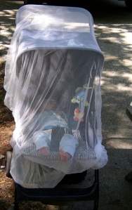 Mosquito Netting for Babies