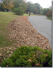 Leaves-at-Curb