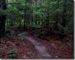 Woodland-Trail